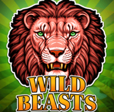 Popular Slot Game 27